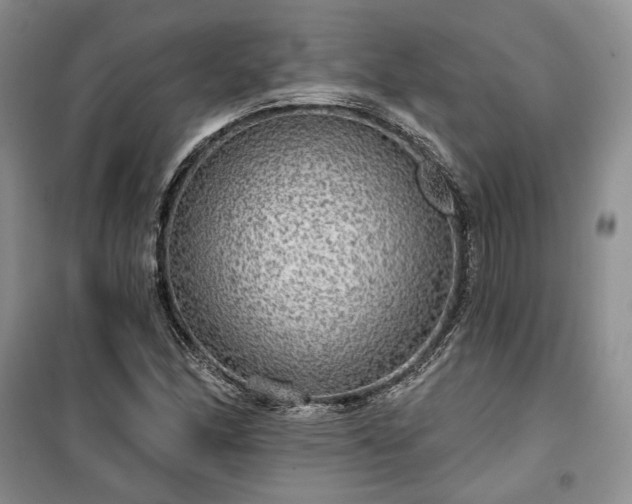 X0000100371166200806131030