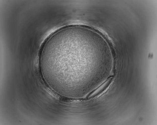 X0000100371167200806131030