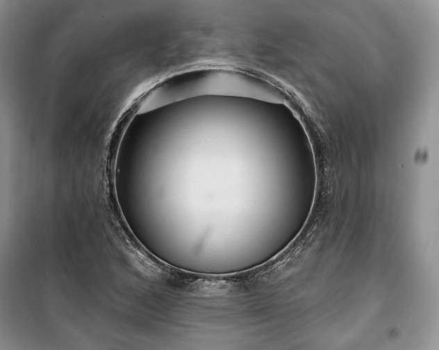 X0000100371168200806131030