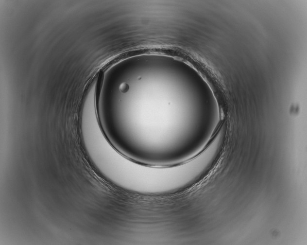 X0000100371169200806131030