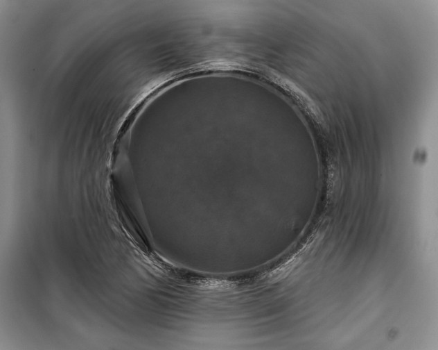 X0000100371170200806131030