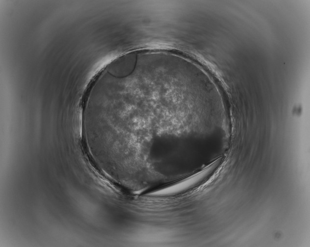 X0000100371171200806131030