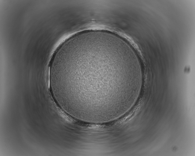 X0000100371175200806131030