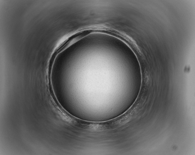 X0000100371176200806131030