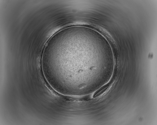 X0000100371177200806131030