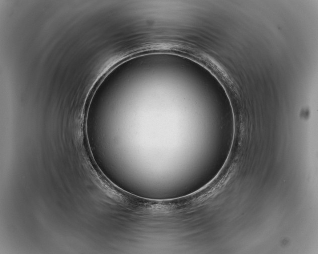 X0000100371178200806131030