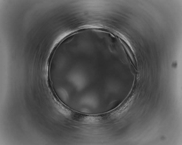 X0000100371179200806131030