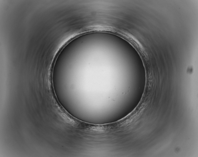 X0000100371182200806131030