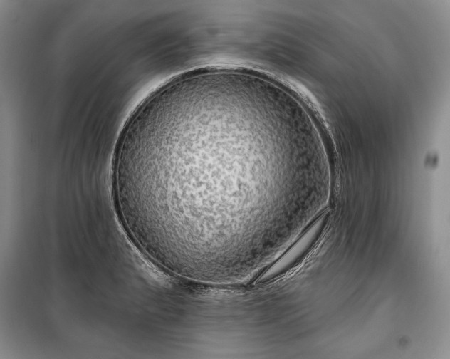 X0000100371183200806131030