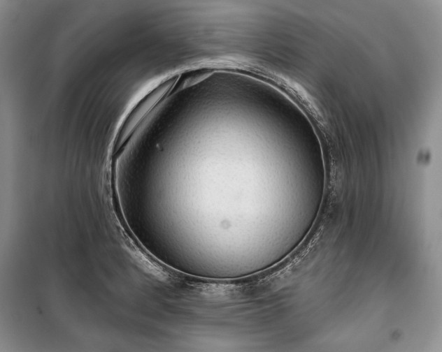 X0000100371184200806131030