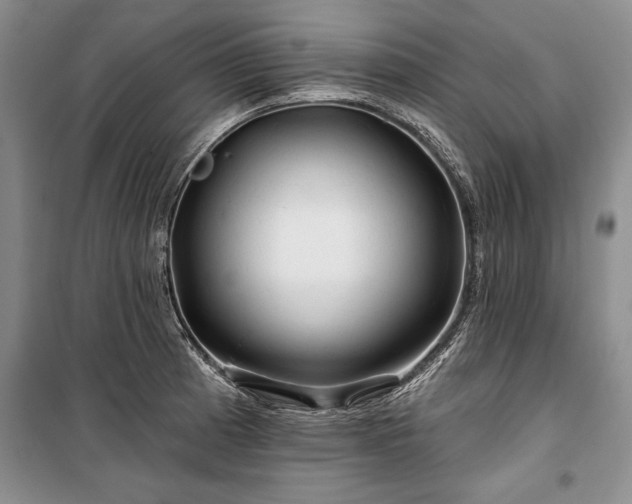 X0000100371185200806131030