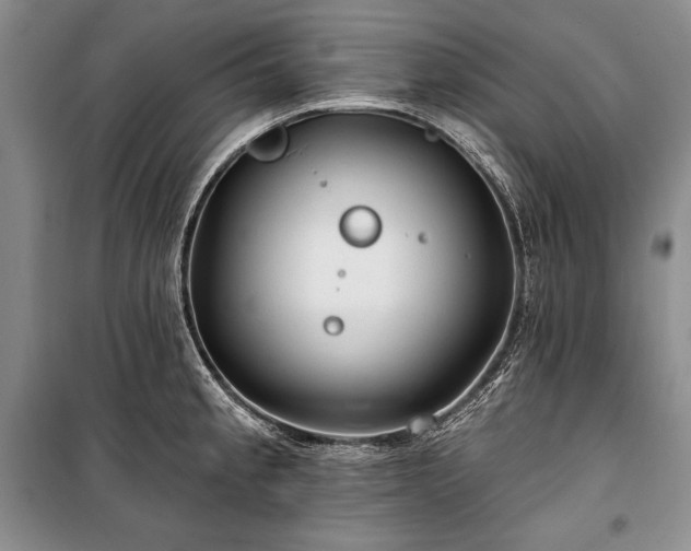 X0000100371189200806131030