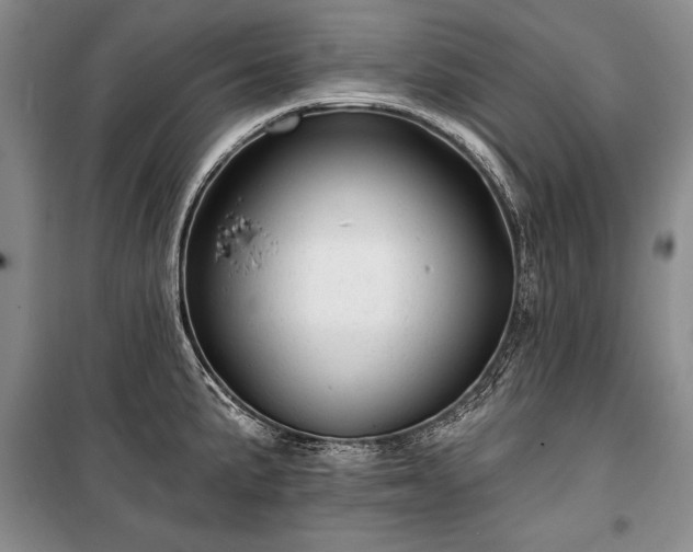 X0000100371191200806131030