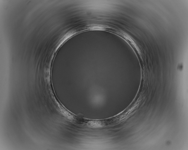 X0000100371194200806131030