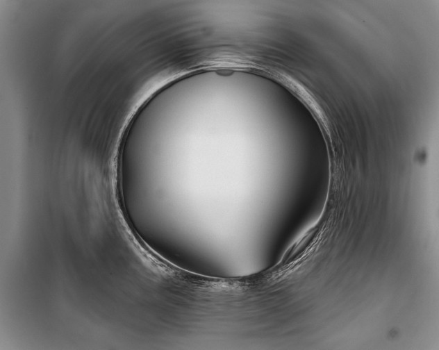 X0000100371195200806131030