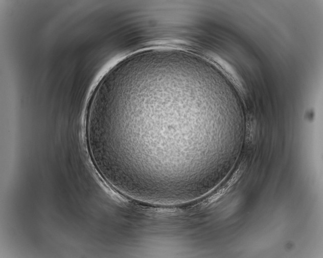 X0000100371196200806131030