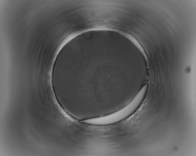 X0000100371197200806131030