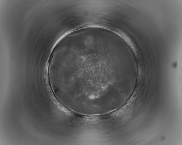 X0000100371198200806131030