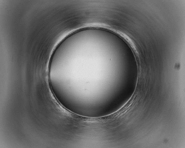 X0000100371199200806131030