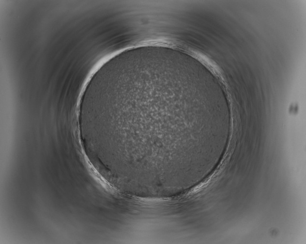 X0000100371200200806131030