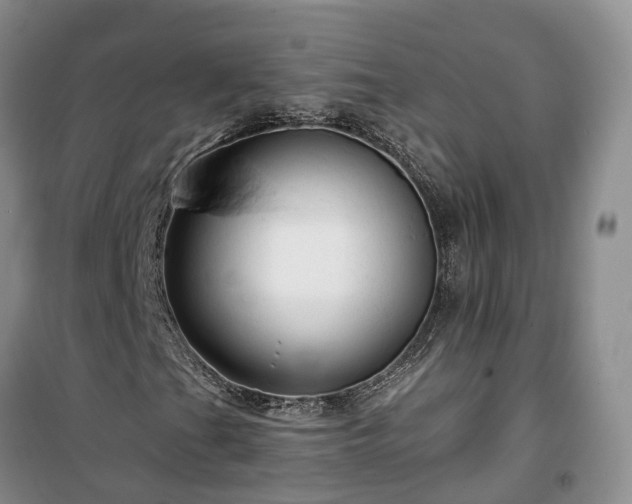 X0000100371201200806131029