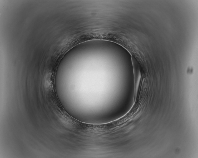 X0000100371202200806131029