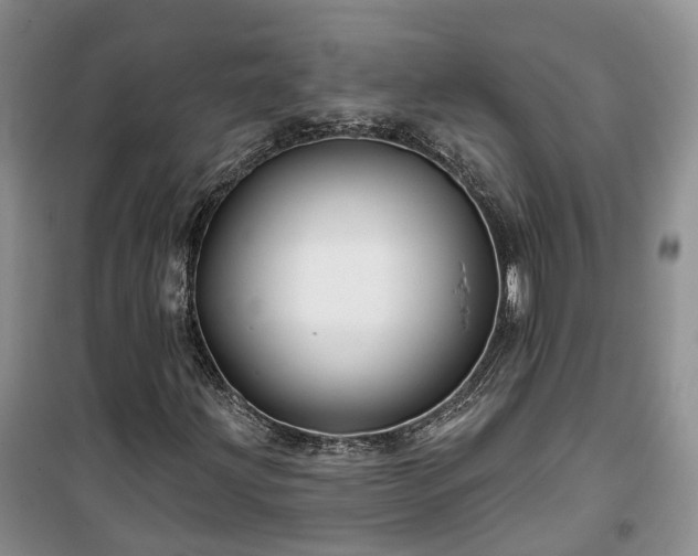 X0000100371203200806131029