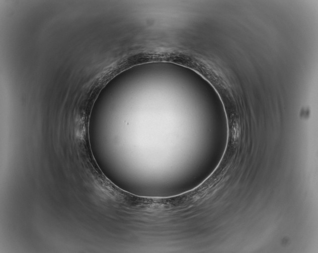 X0000100371204200806131029