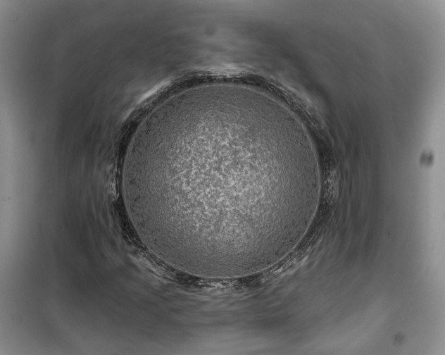 X0000100371205200806131029