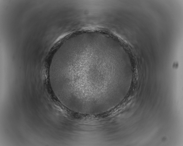 X0000100371206200806131029