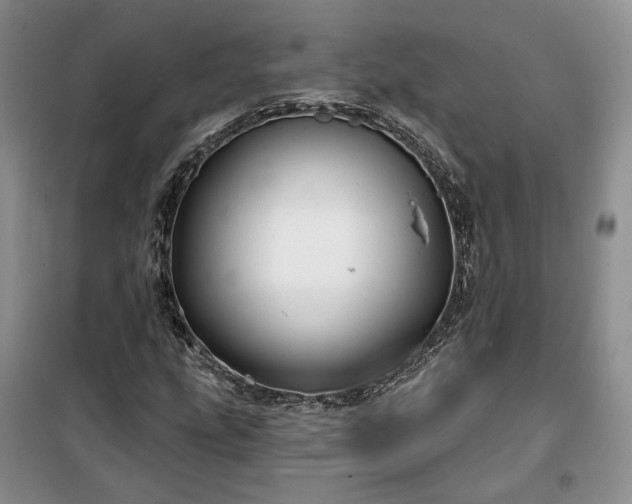 X0000100371207200806131029