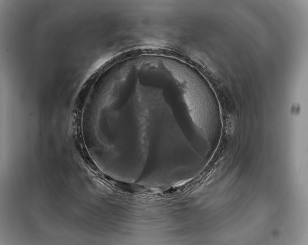 X0000100371208200806131029