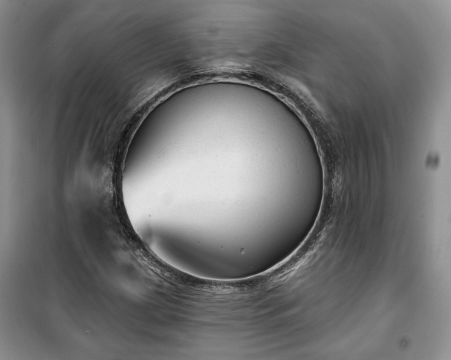 X0000100371209200806131029