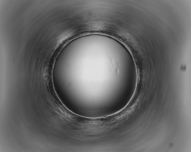 X0000100371210200806131029