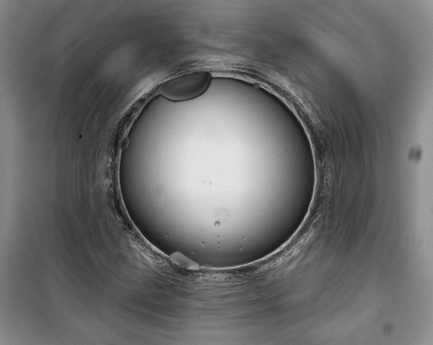 X0000100371211200806131029