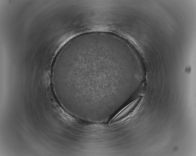 X0000100371212200806131029