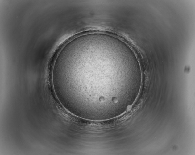 X0000100371215200806131030