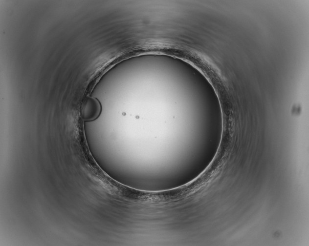 X0000100371217200806131030