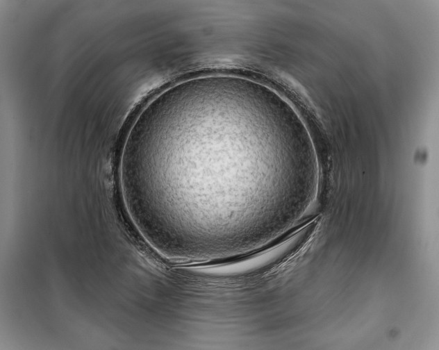 X0000100371218200806131030