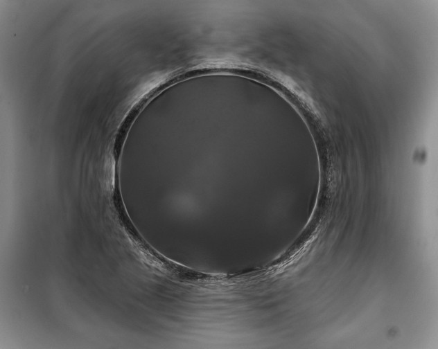 X0000100371221200806131030