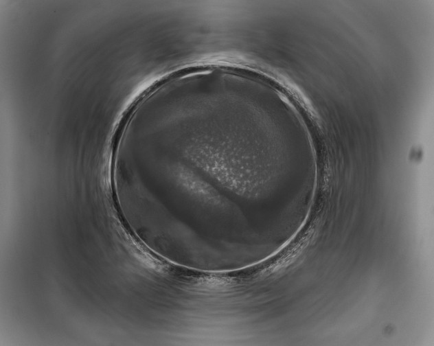 X0000100371224200806131030