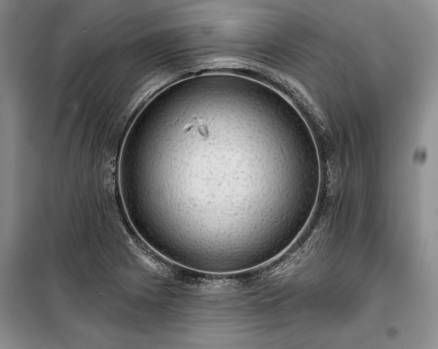 X0000100371225200806131030