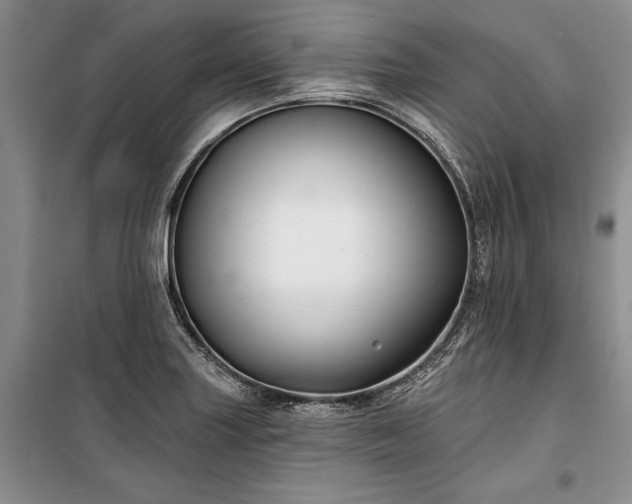 X0000100371227200806131030