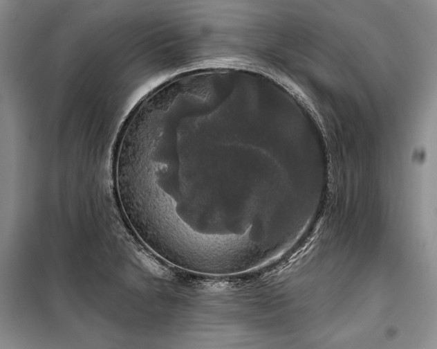 X0000100371230200806131030