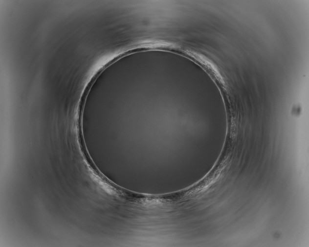 X0000100371231200806131030