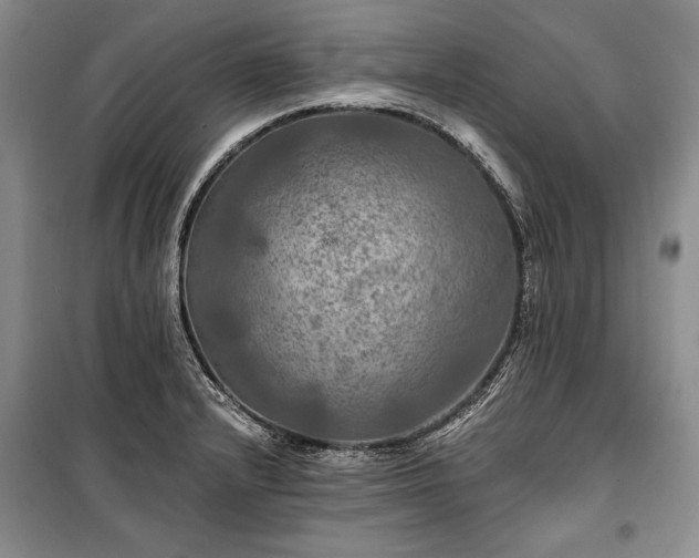 X0000100371232200806131030