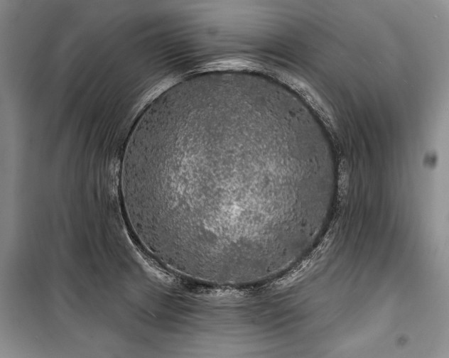 X0000100371233200806131030