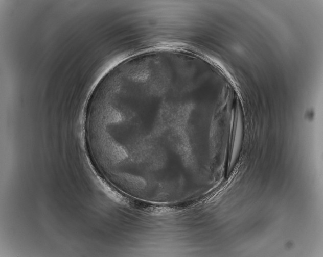 X0000100371235200806131030