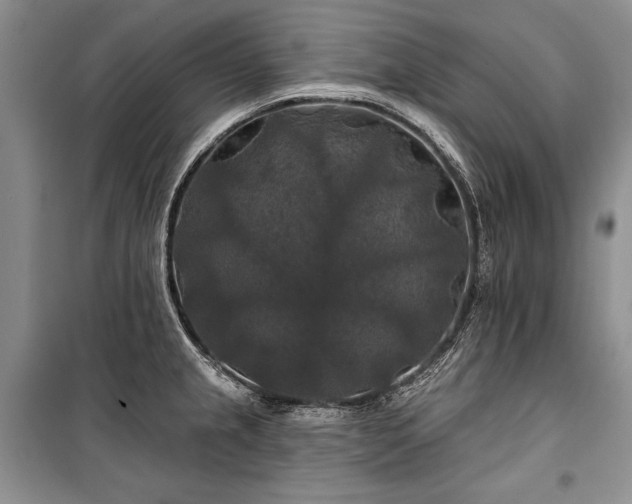 X0000100371237200806131030