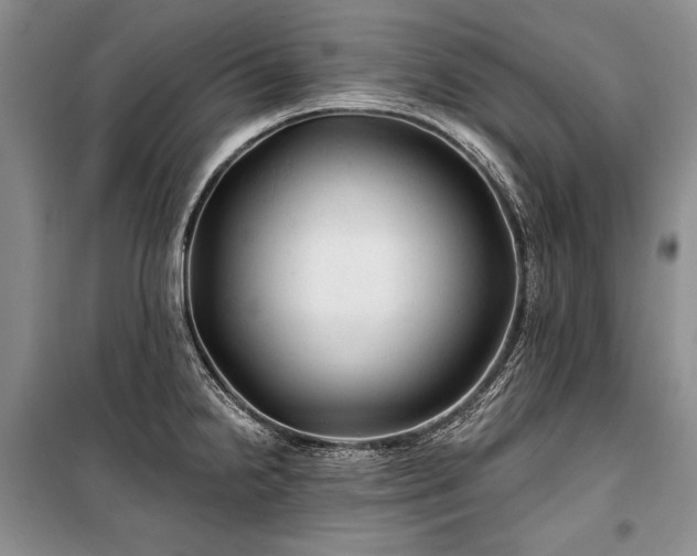 X0000100371238200806131030